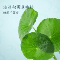 积雪草面膜
