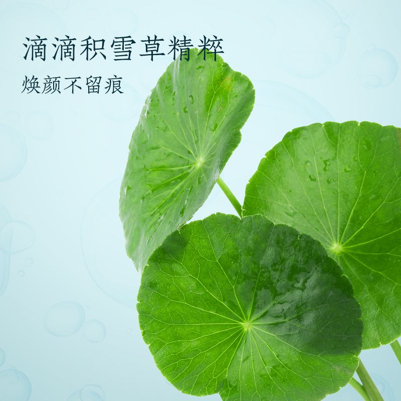 积雪草面膜