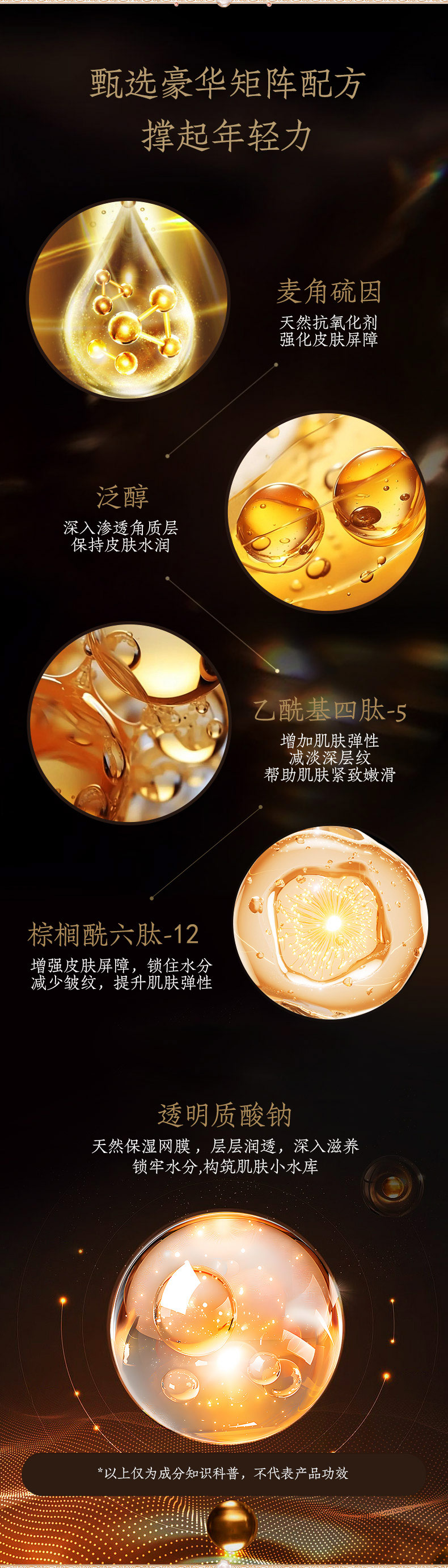240820白牡丹详情页_04